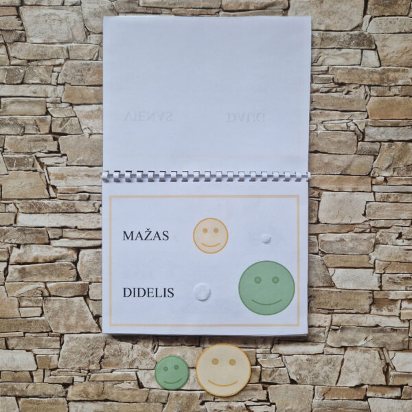 Knygelė "Mano pirmosios užduotėlės" - Image 4