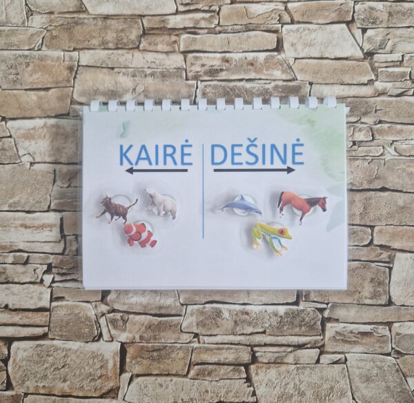 KAIRĖ-DEŠINĖ - Image 2
